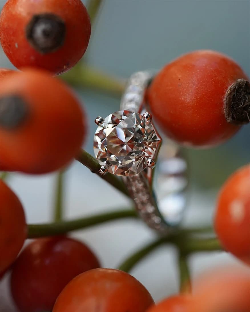 Close-up of a round diamond engagement ring nestled among rosehips, capturing the sparkle of the solitaire diamond in a romantic autumn-inspired setting.