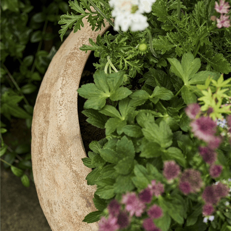 Calstone Wide Planter