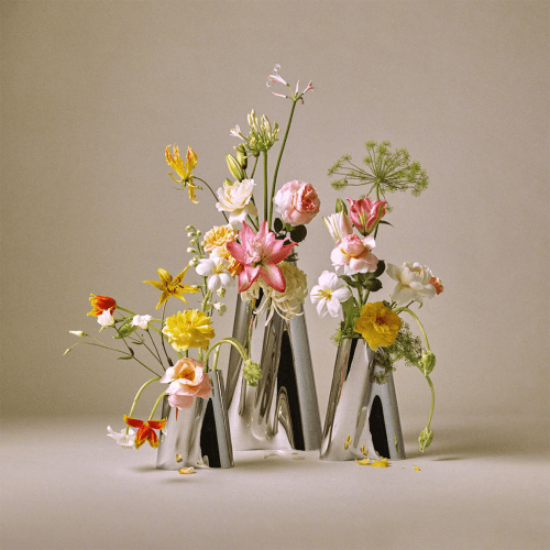 Image showing the Lituus Vase, Stainless Steel product.