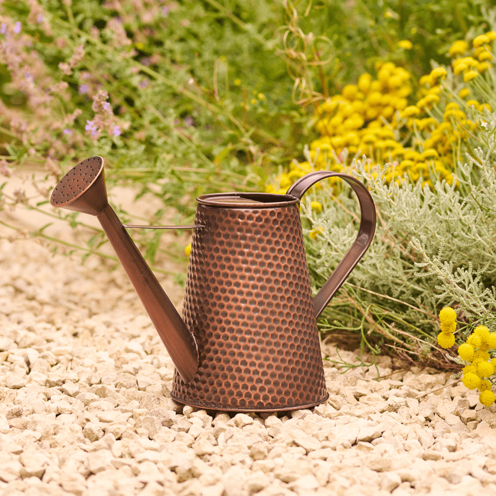 Country Living Watering Can, Brown
