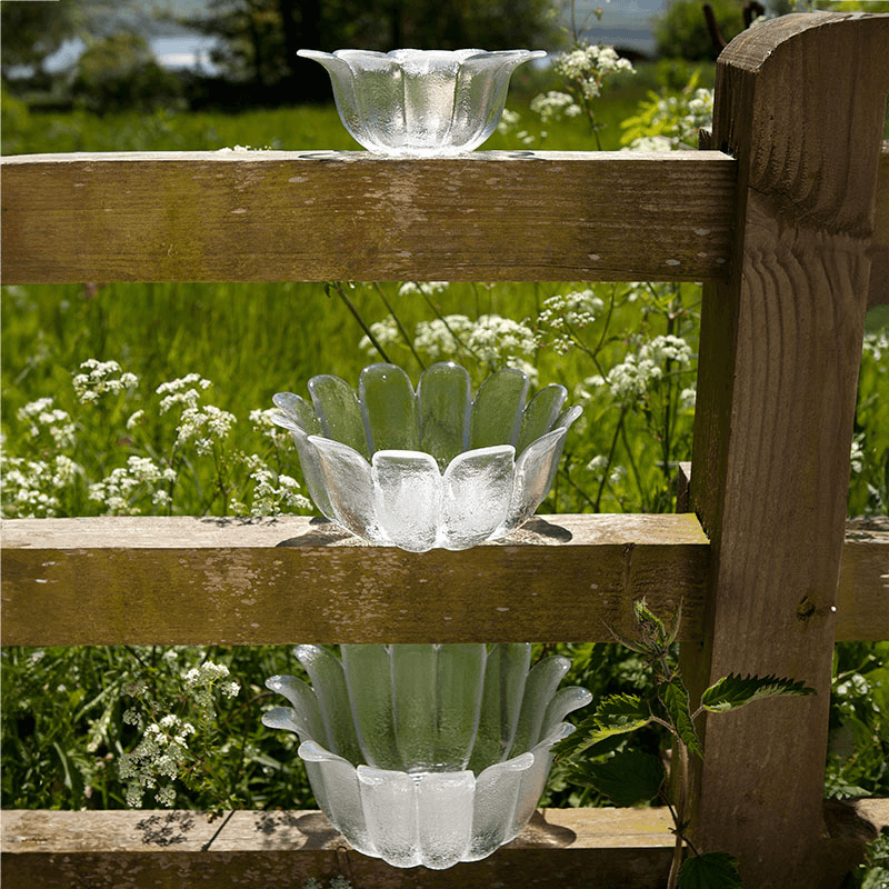 Daisy Bowl, D21.5cm, Clear