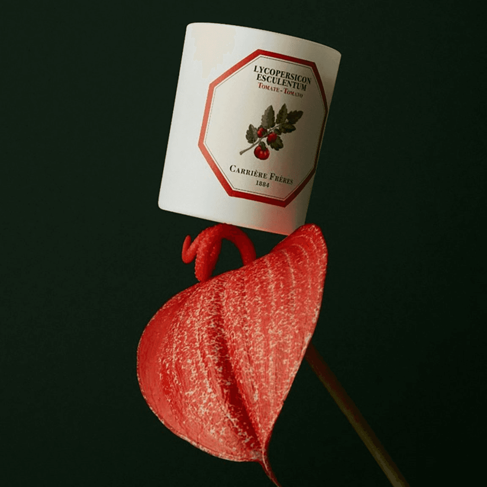 Tomato Scented Candle