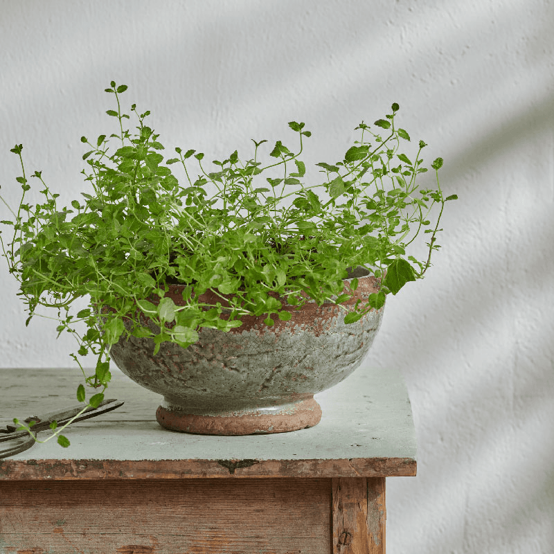 Broseley Footed Pot, H12.2 x D25cm, Moss