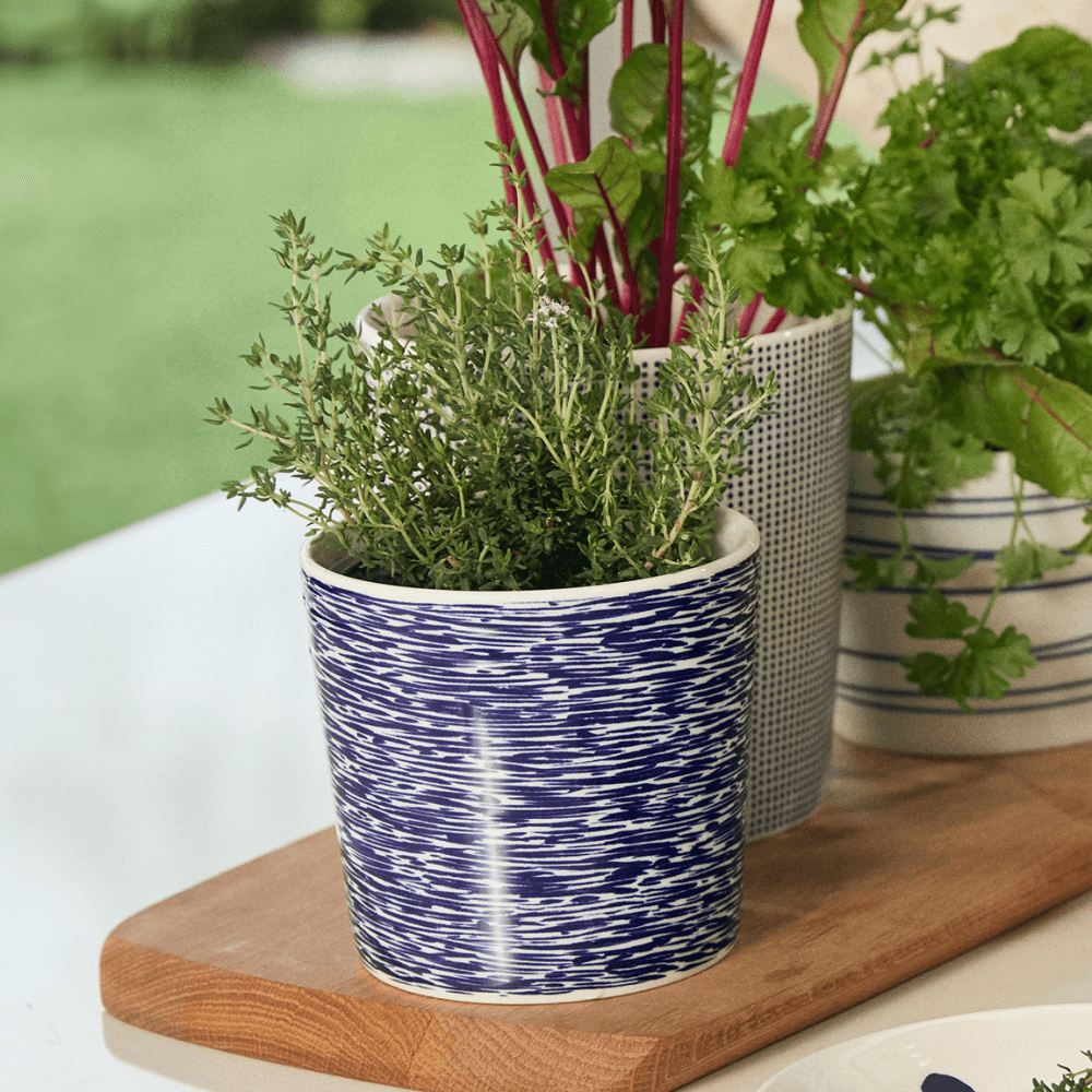 Pacific Planter