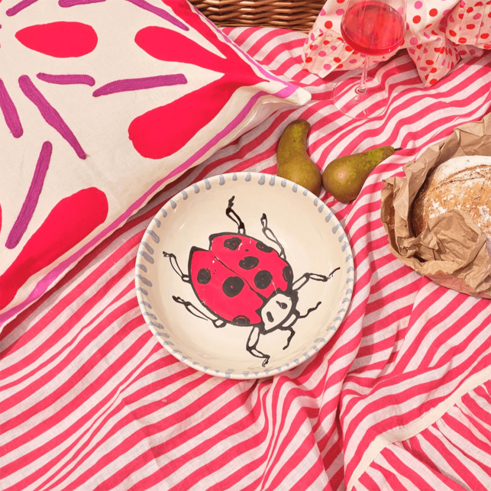 Ceramic Bowl, Ladybird