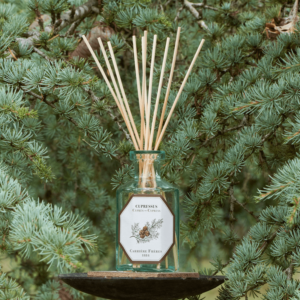 Cypress Diffuser