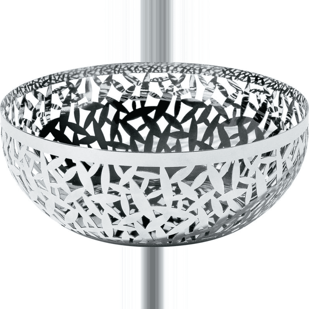Cactus! Basket/bowl