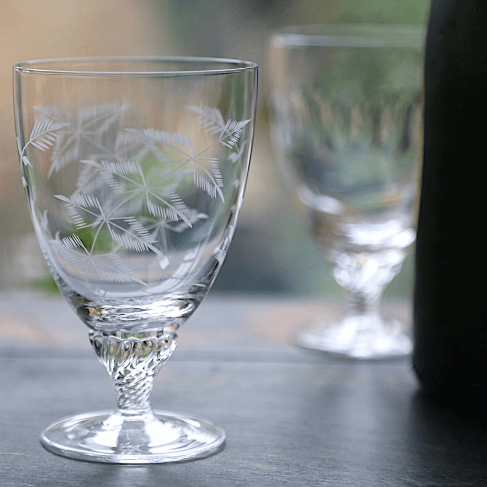 Fern Set of 6 bistro glasses, Crystal