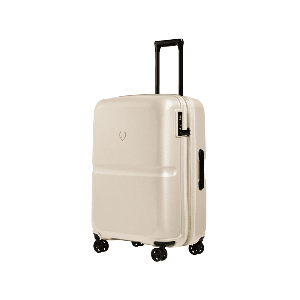 Single Stripe Expandable Suitcase
