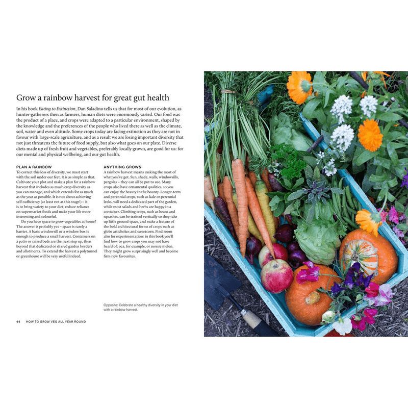 Grow Your Own Veg Through The Year
