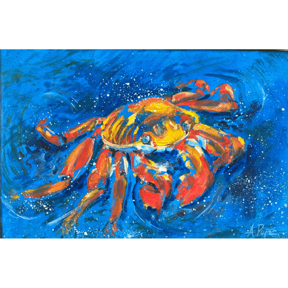 Crab Waters Tube