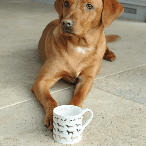 Image showing the Woof! Mug product.