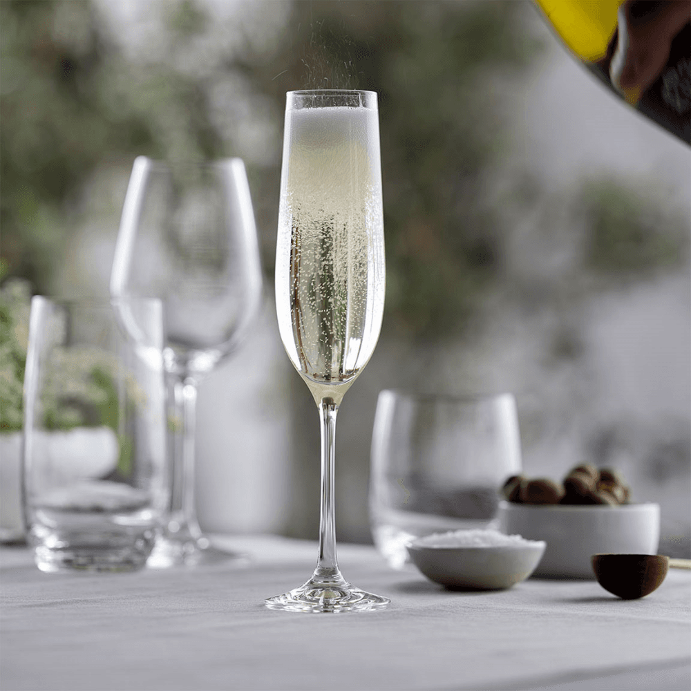 Wine and Dine Set of 6 Champagne Flutes