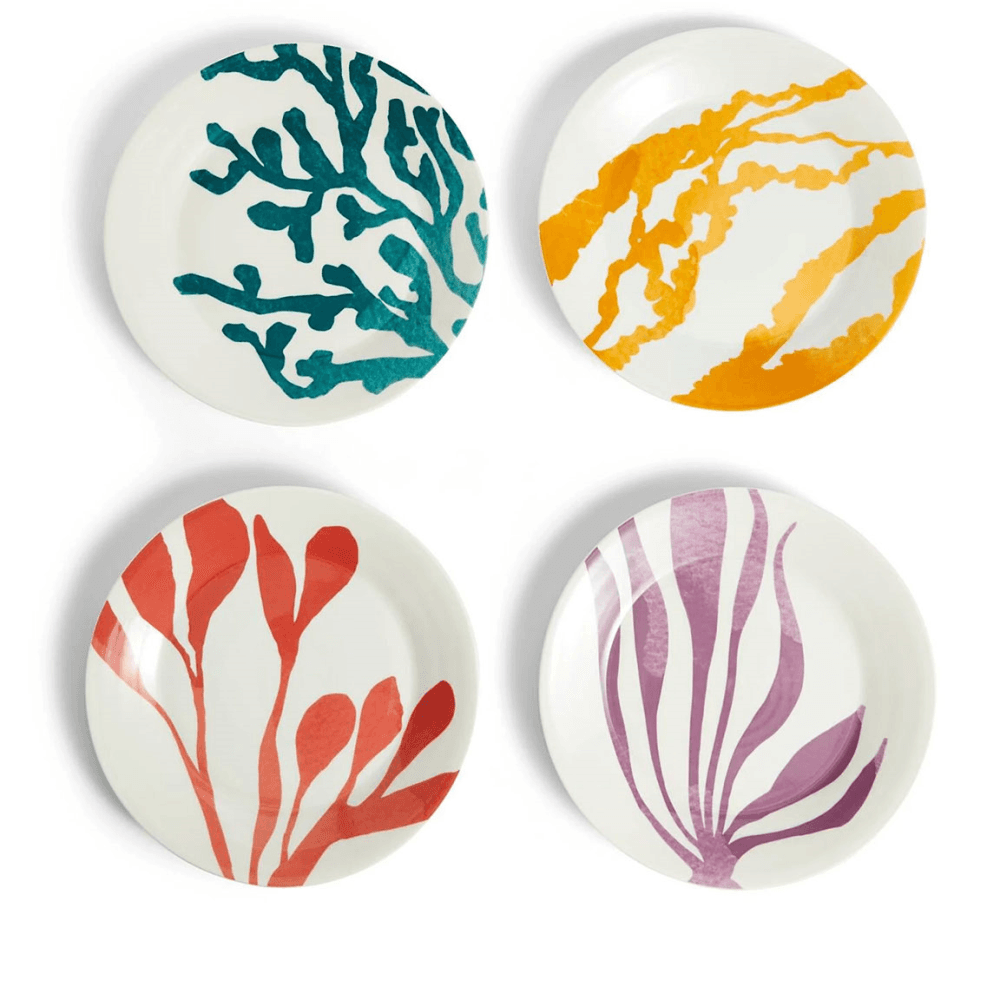 1815 Brights Set of 4 Dinner Plates, Multi