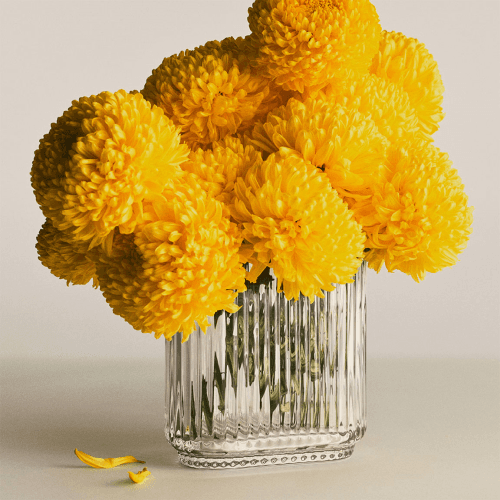 Image showing the Bernadotte Oval Vase, H16cm, Clear product.