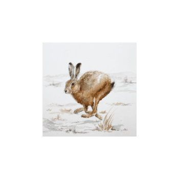Image showing the Frost Morning Framed Print product.