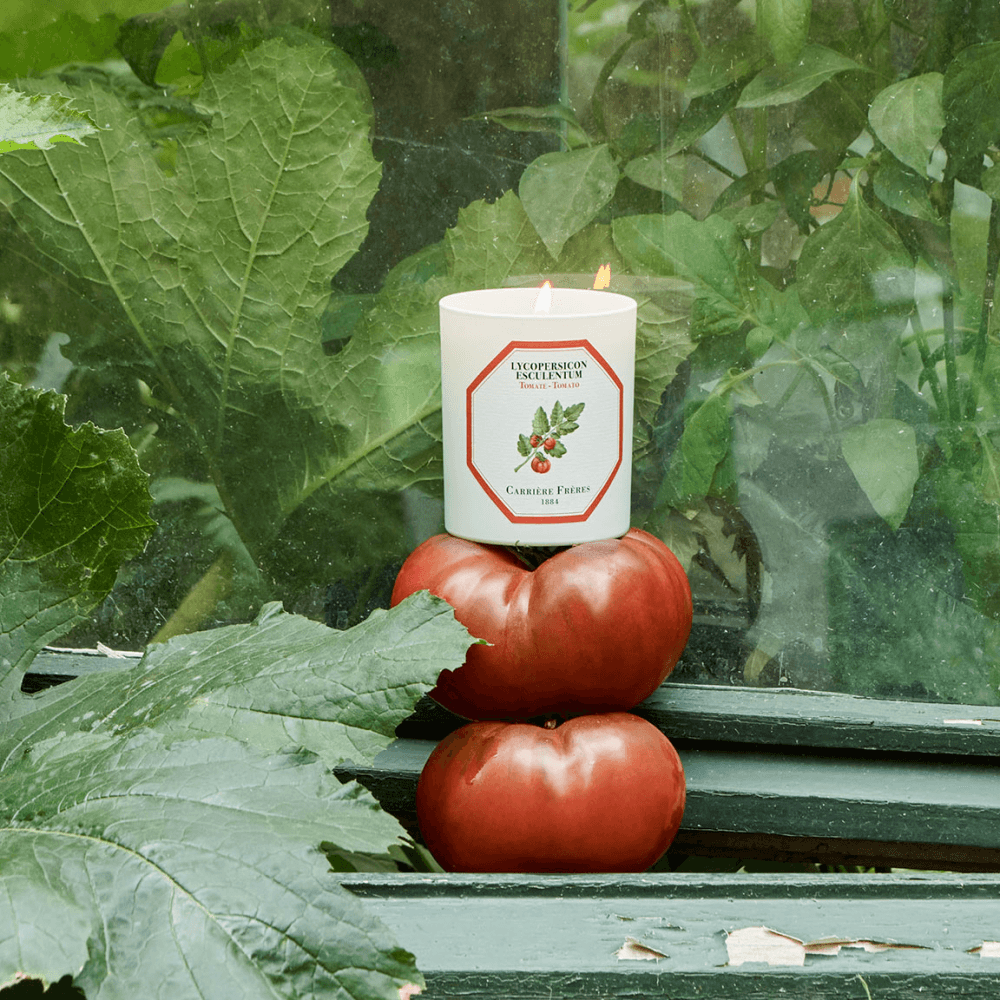 Tomato Scented Candle