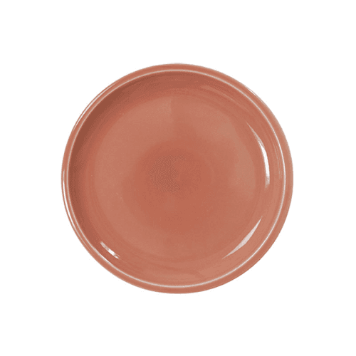 Image showing the Cantine Plate product.