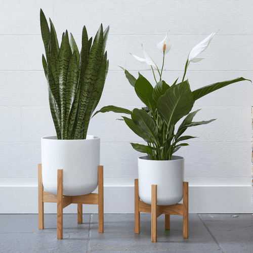 Image showing the Lisbon Planter product.