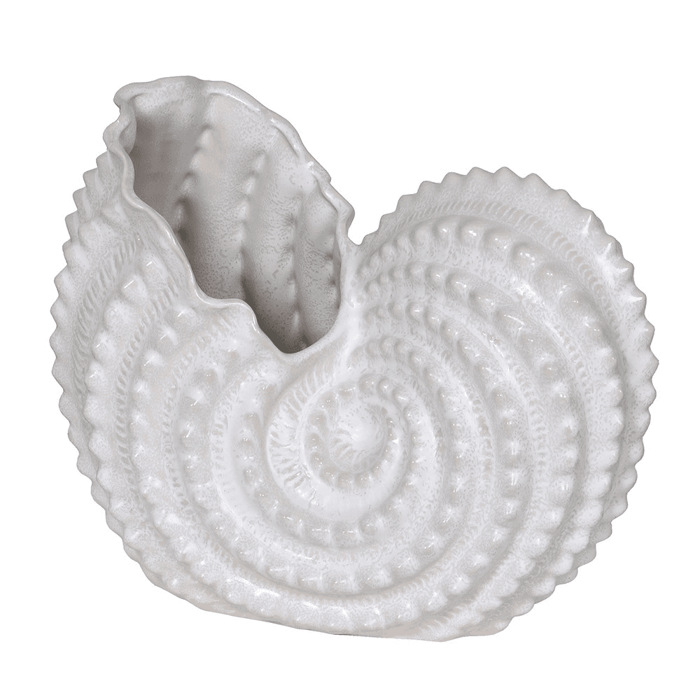 Shell Bowl, White