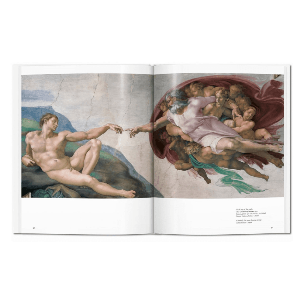 Michelangelo