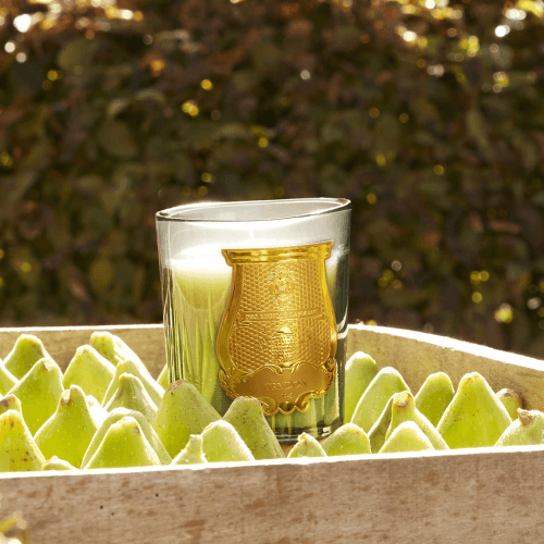 Image showing the Figuerie Scented Candle product.