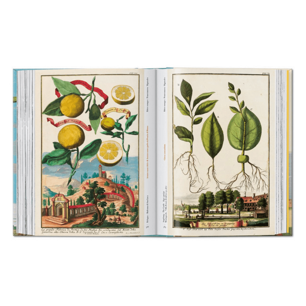 Volkamer: The Book of Citrus Fruits, 45th Ed