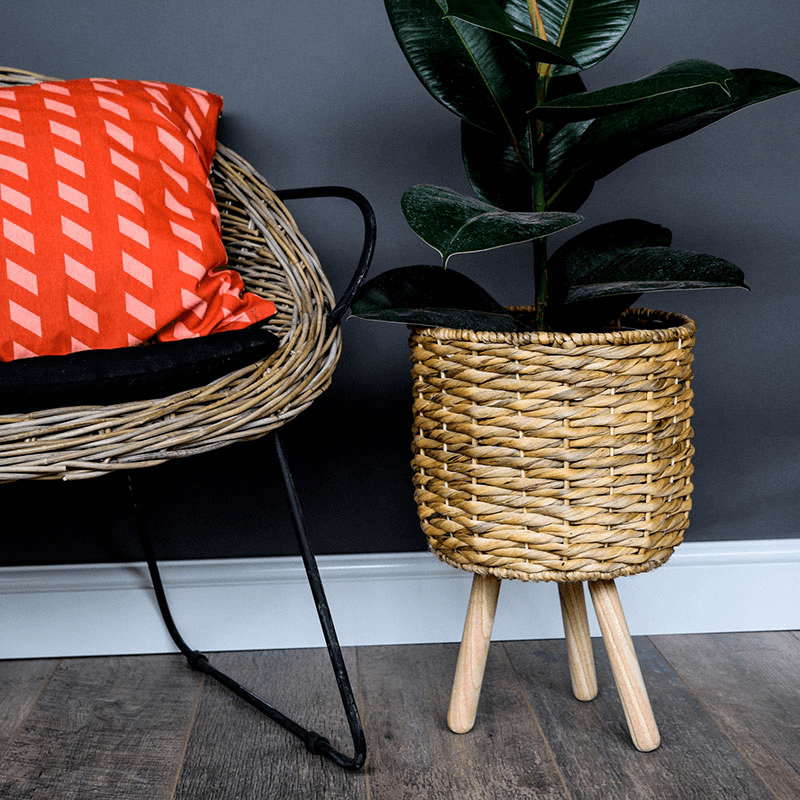 Water Hyacinth Lined Baskest on Legs, Natural