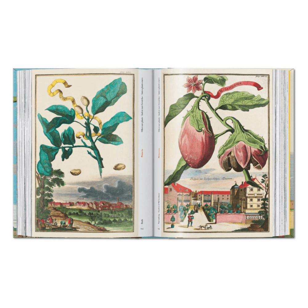 Volkamer: The Book of Citrus Fruits, 45th Ed