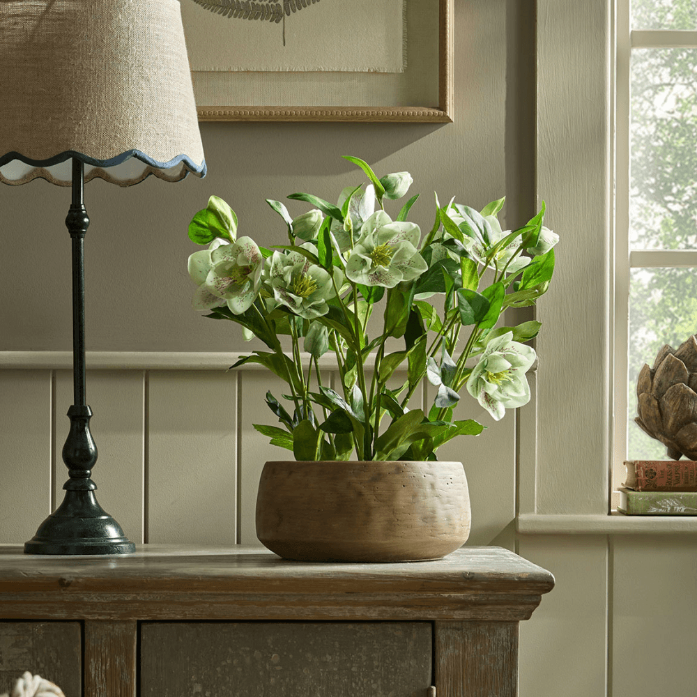Faux Potted Hellebore, Green