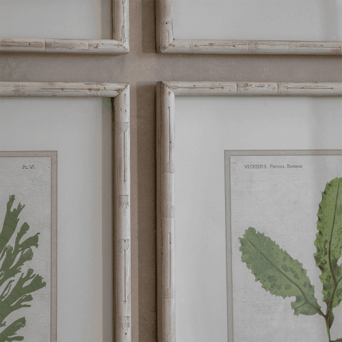 Image showing the Ormington Set of 6 Aloe and Algae Framed Prints, H60cm, Shades of Green product.