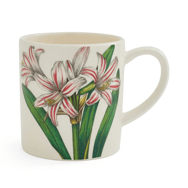 Botanic Garden Bloom Set of 6 Espresso Mugs, Multi