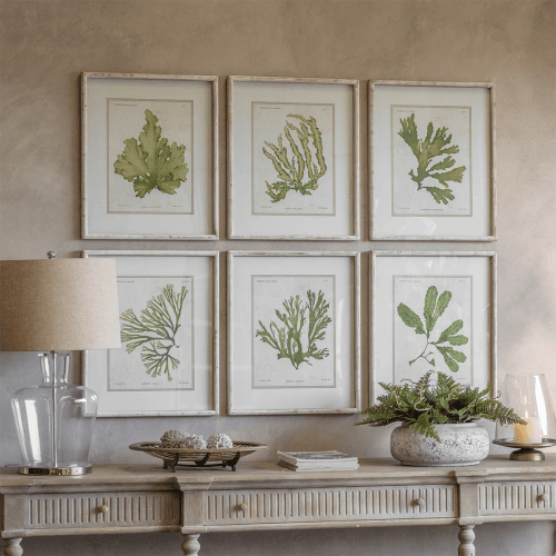 Image showing the Ormington Set of 6 Aloe and Algae Framed Prints, H60cm, Shades of Green product.