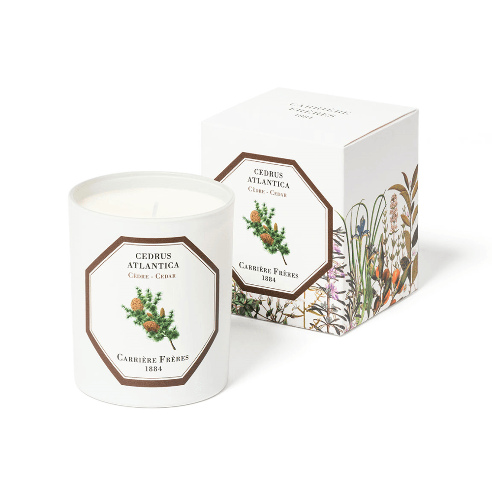 Cedar Scented Candle