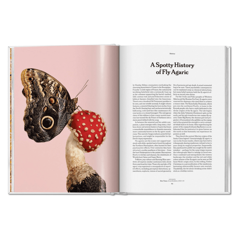 The Gourmand's Mushroom: A Collection of Stories & Recipes