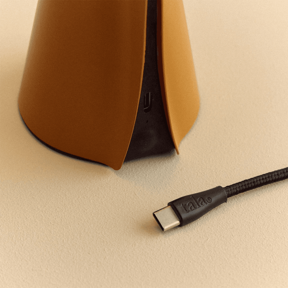Mantle Portable Lamp