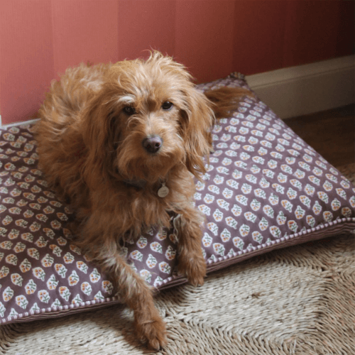 Image showing the Ditsy Dog Bed product.