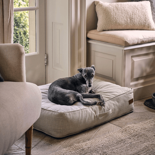 Image showing the Oaklands Stripe Pet Cushion Rectangular product.