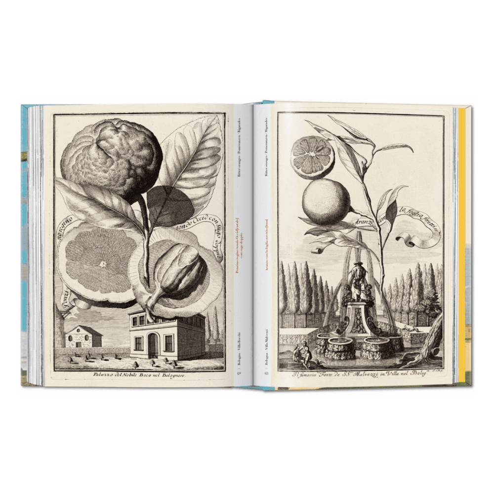 Volkamer: The Book of Citrus Fruits, 45th Ed