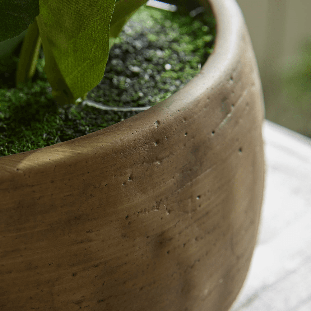 Faux Potted Hellebore, Green