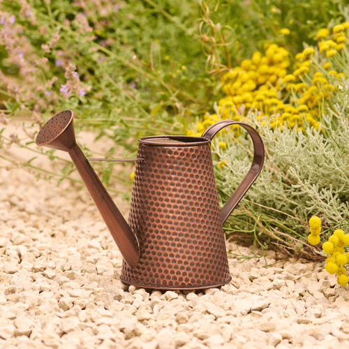 Image showing the Country Living Watering Can, Brown product.