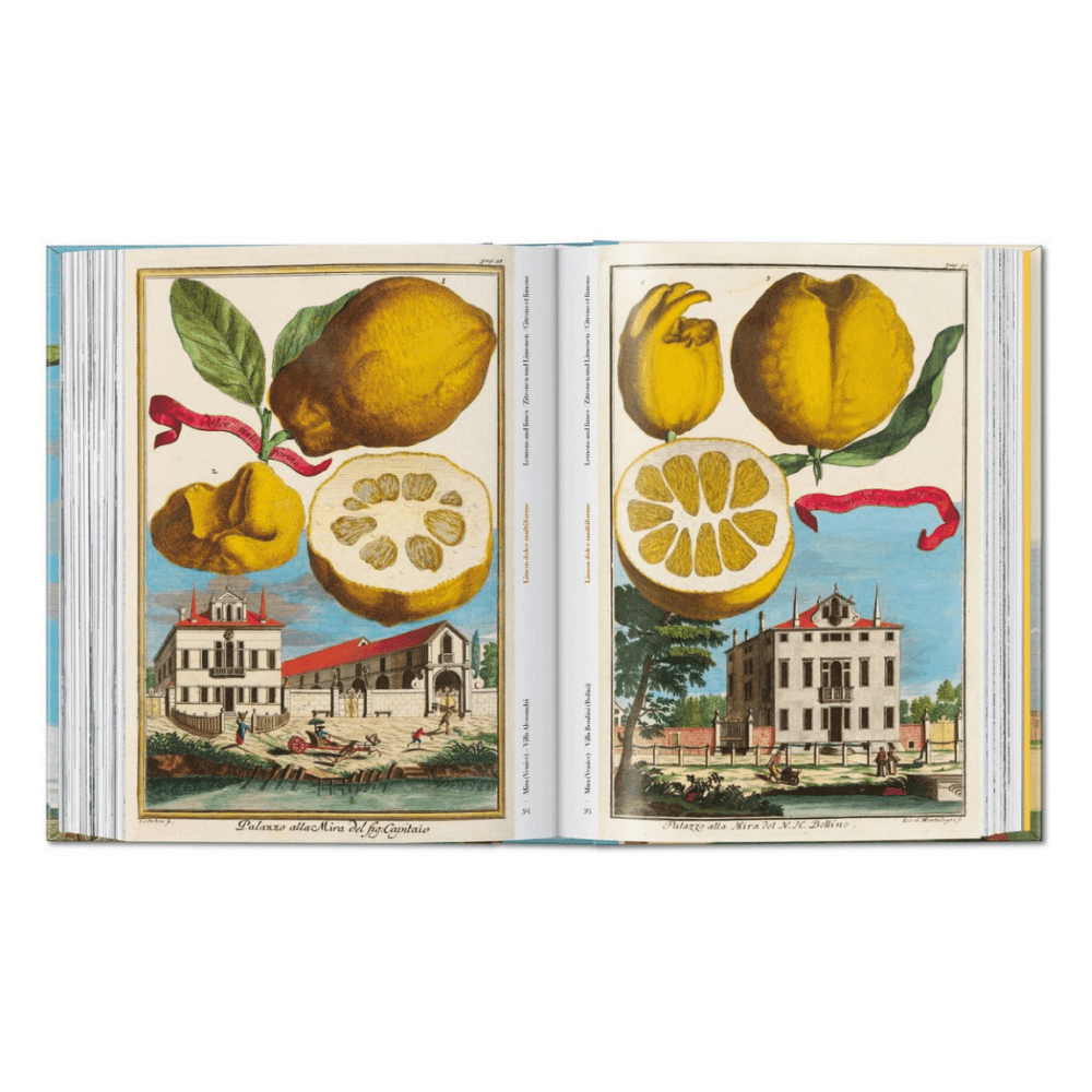 Volkamer: The Book of Citrus Fruits, 45th Ed