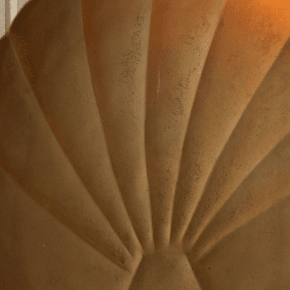 Shell Wall Sconce, Antiqued Brass
