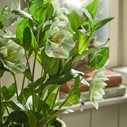 Image showing the Faux Potted Hellebore, Green product.