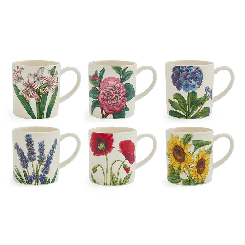 Botanic Garden Bloom Set of 6 Espresso Mugs, Multi