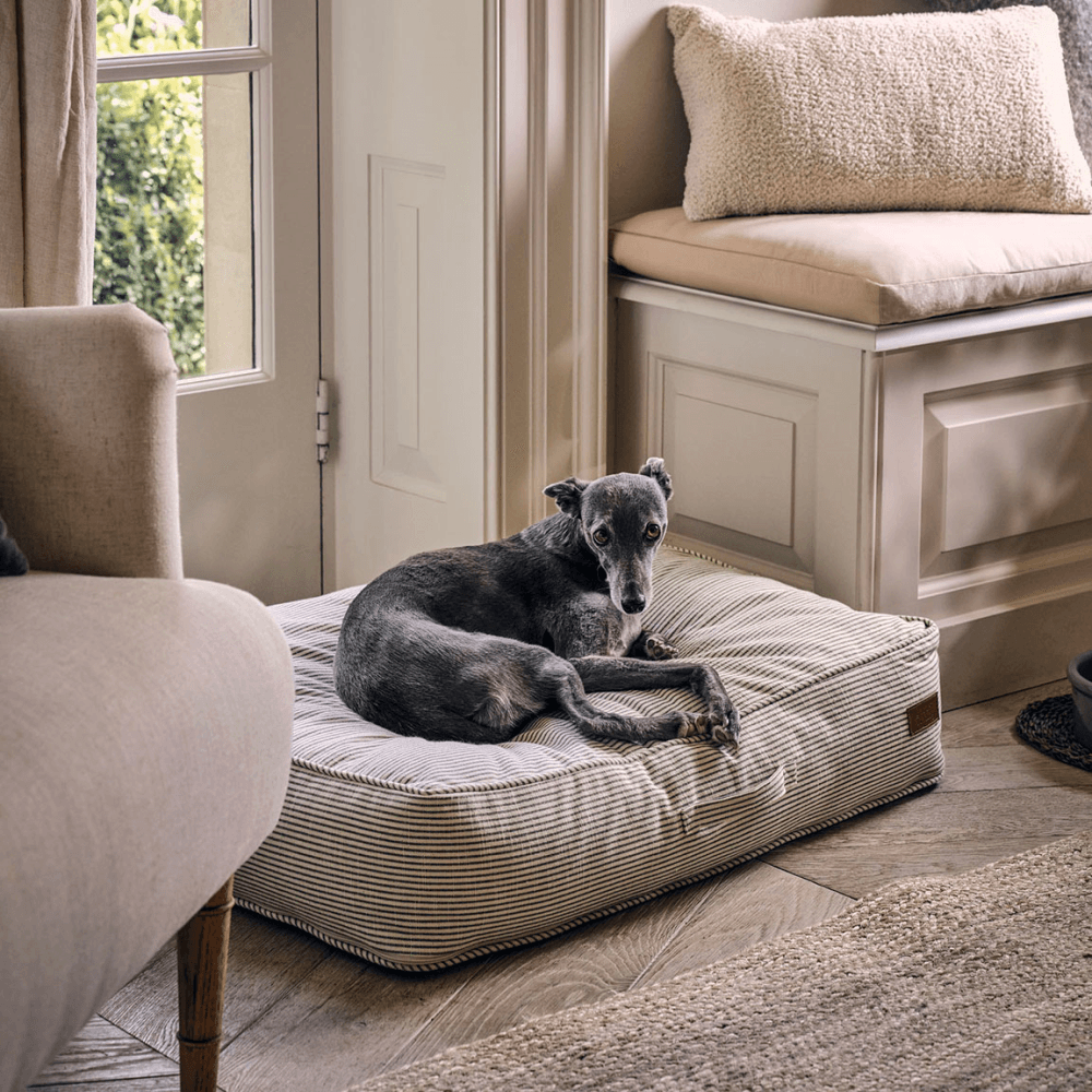 Oaklands Stripe Pet Cushion Rectangular