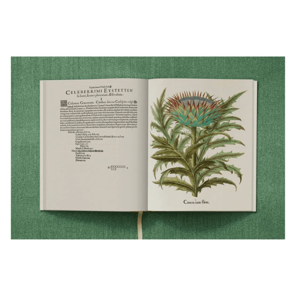 Basilius Besler: The Garden at Eichstatt