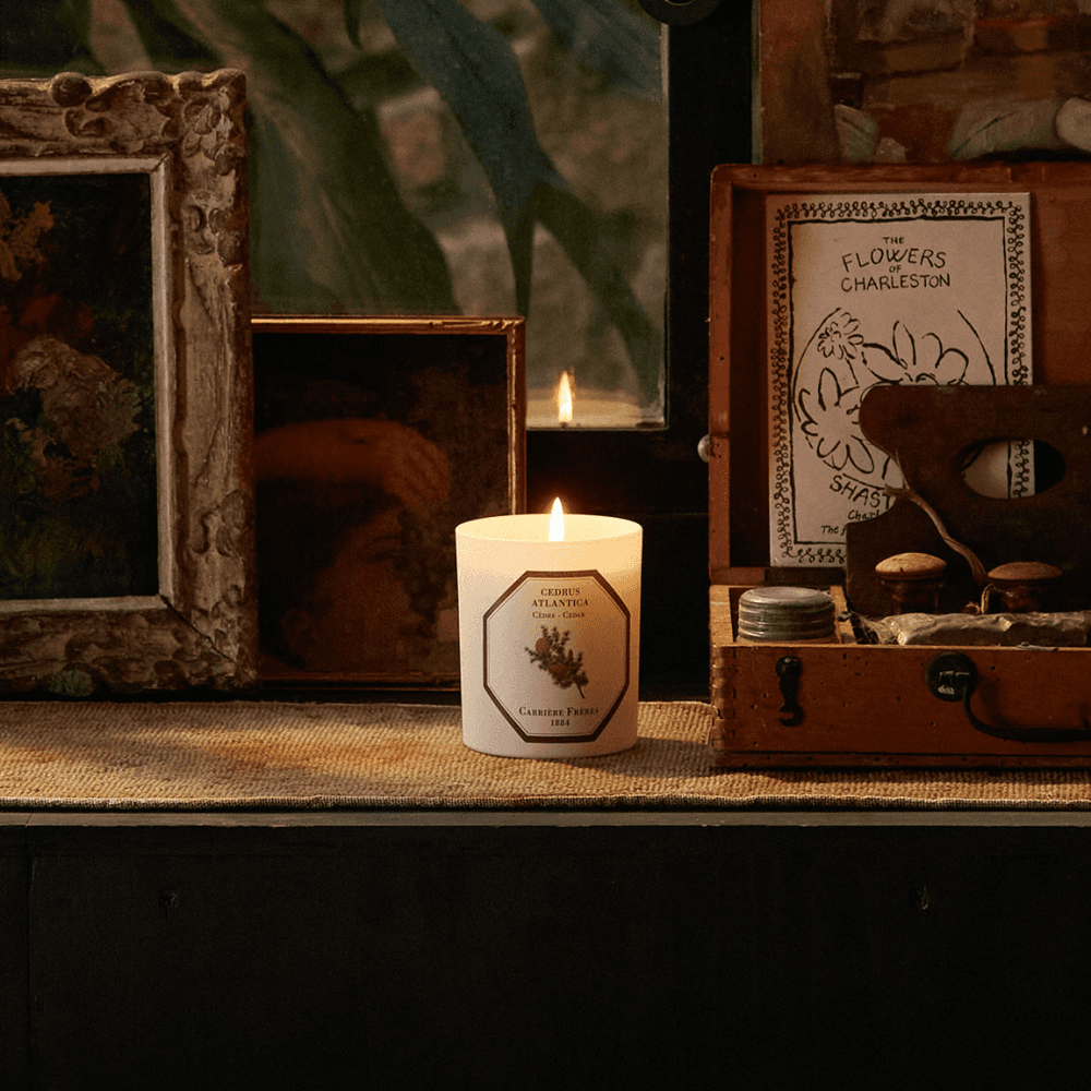 Cedar Scented Candle