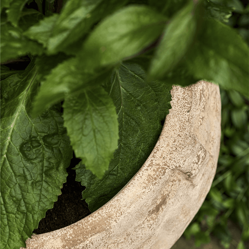 Calstone Tall Planter