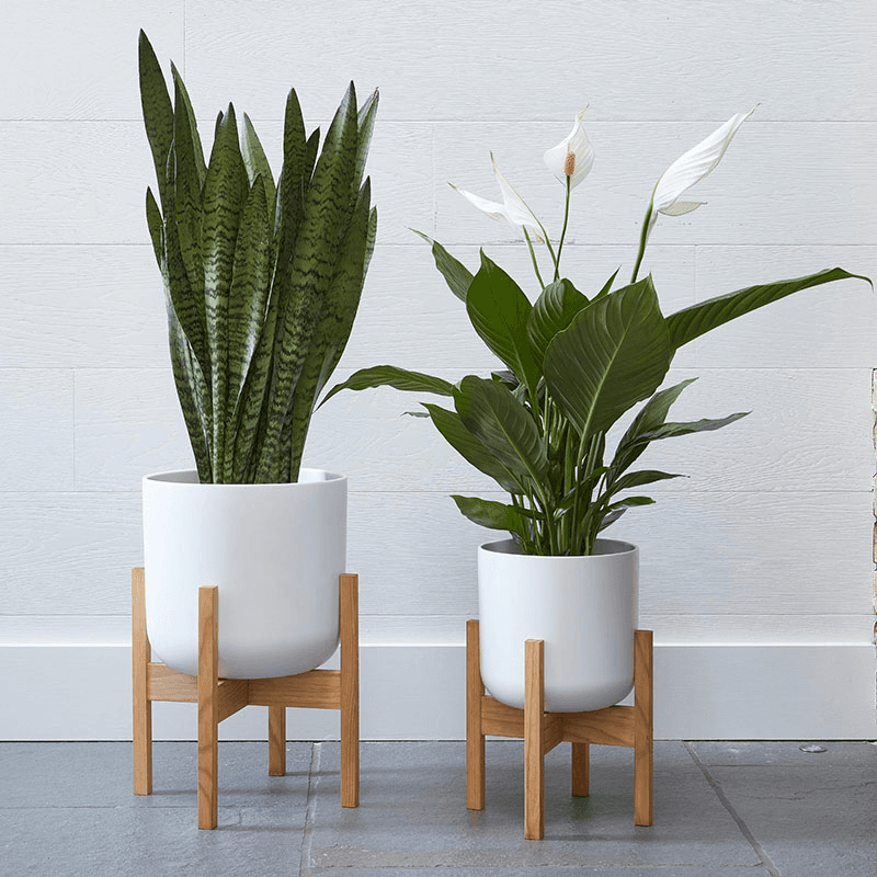 Lisbon Planter